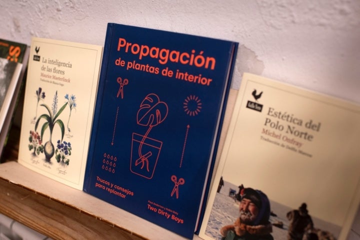 Aquí todo está dedicada al mundo de las plantas y flores.