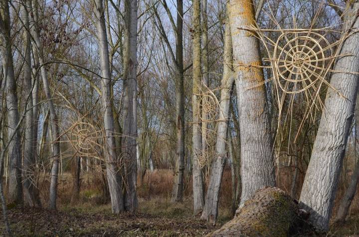 Carlos Fontales: El bosque de las arañas