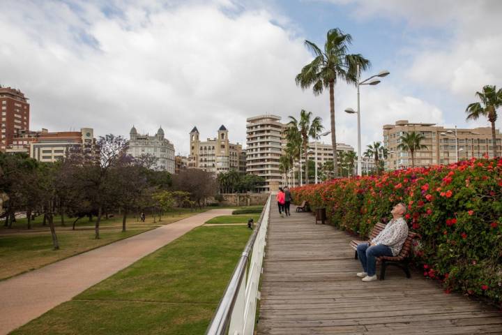 puente flores valencia