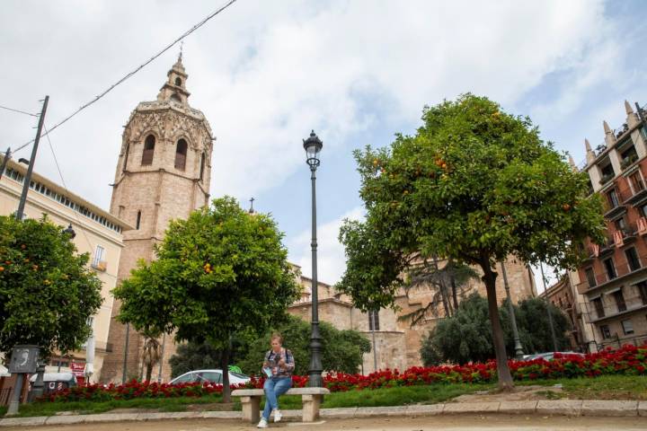 plaza de la reina valencia