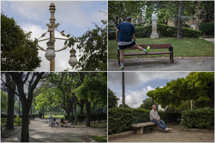 Las farolas del paseo se crearon para la Exposición Regional de 1909.