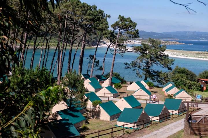 Vista general del camping de Islas Cíes.