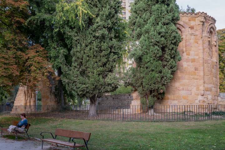 Árboles El Retiro Otoño 2022 ermita 