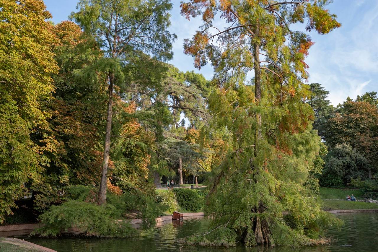 Árboles y caprichos del Retiro contados por sus 'hobbits'