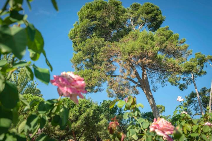 Parque El Retiro