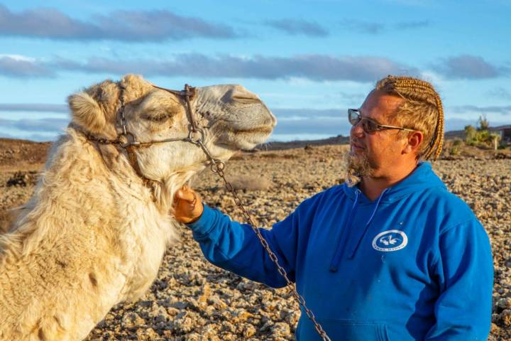 Nicolás, de ‘Camel Rides Lajares’, posa con uno de sus camellos.