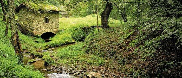 Un oasis con sabor marinero