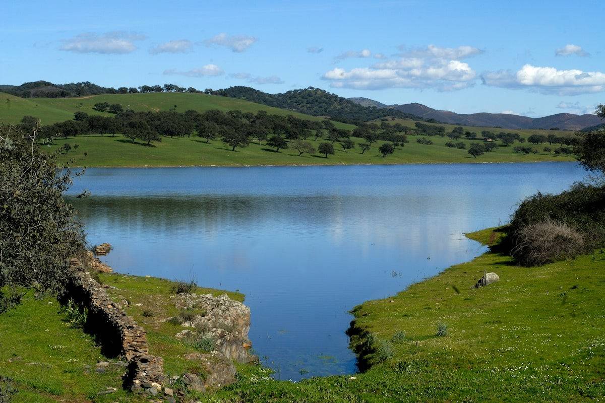 Ruta por la Sierra de Aracena, para comérsela