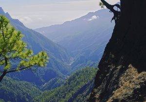 Caldera de Taburiente.