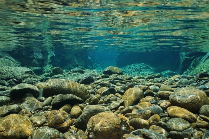 También se conocen como pozas del Berrueco. Foto: Shutterstock.