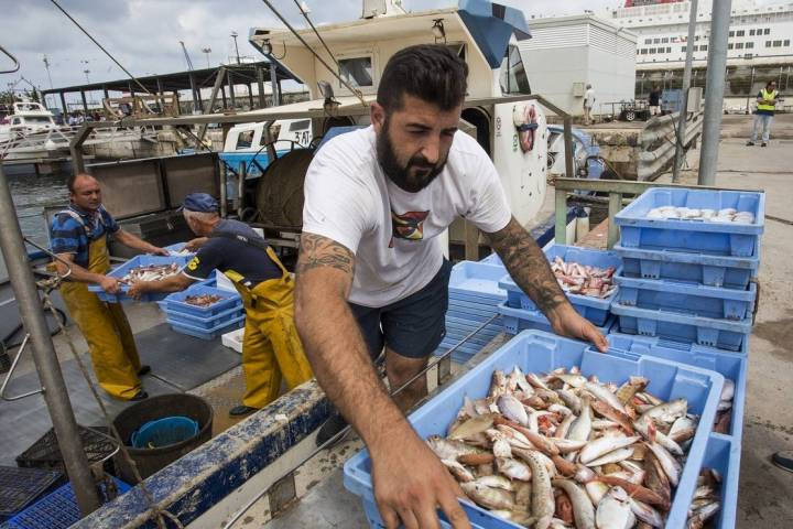 El proceso de venta en la lonja es muy rápido. Foto: Eva Máñez.