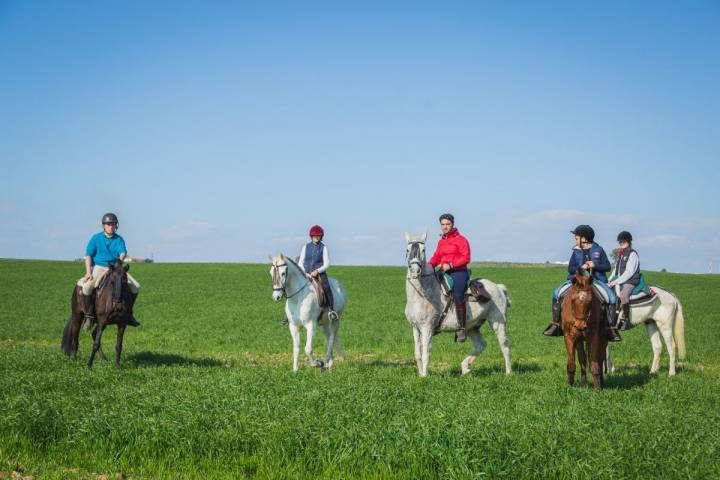 Caballos La Carlota