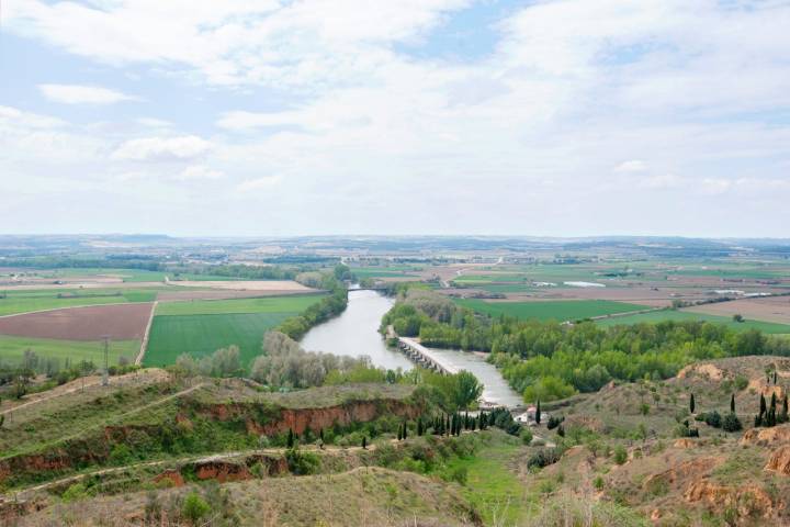 El Duero hace un requiebro a la altura de la villa de la uva zamorana.