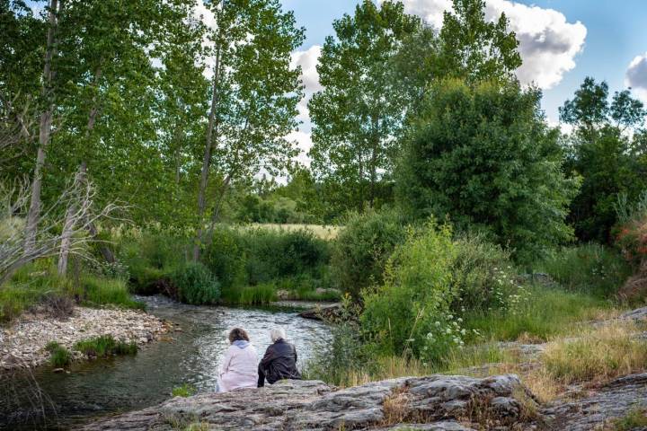 Río Cega a su paso por La Velilla