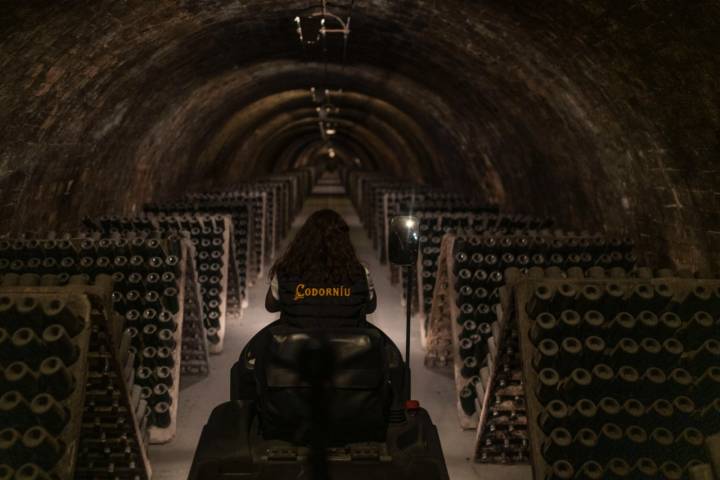 La antigua bodega Codorníu se recorre con un tren