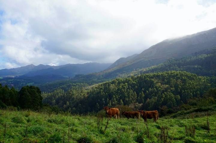 La niebla en la sierra del Sueve (Asturias).