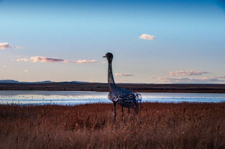 Avistamiento de grullas en Gallocanta: monumento a la grulla