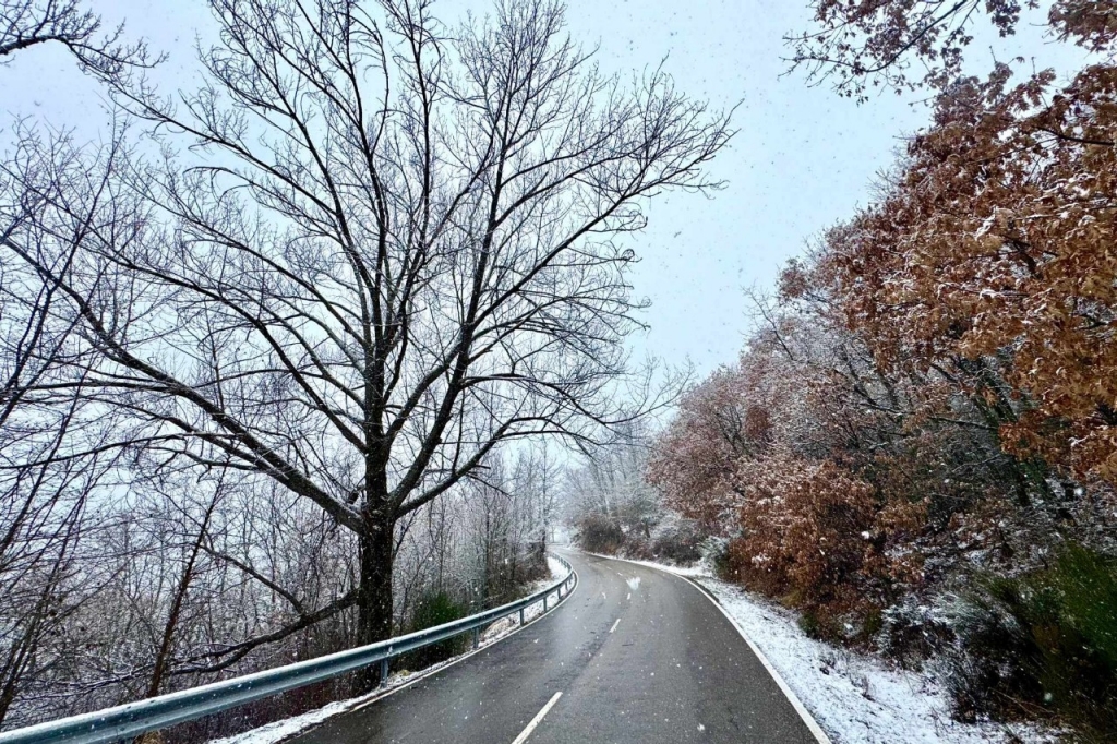 Un paisaje nórdico a un paso de la A-66