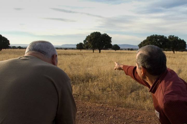 Dos hombres observan a los ciervos.