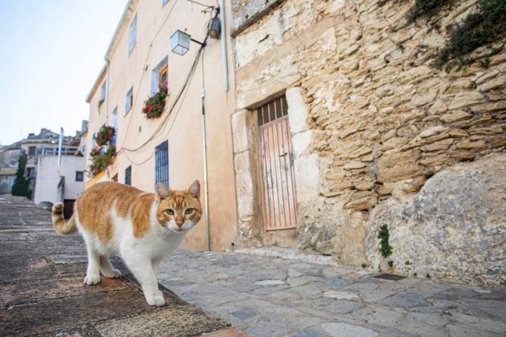 Bocairent es un oasis de paz a una hora de Valencia.