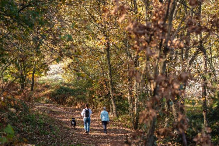 El sendero es de fácil acceso y está bien señalizado.