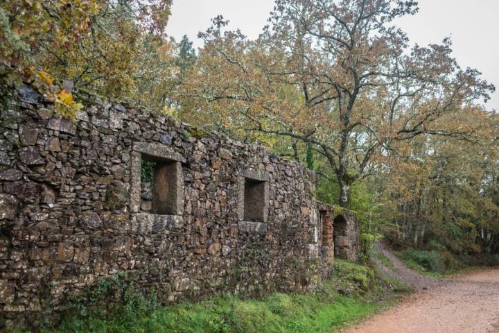 Bosque de Honfría