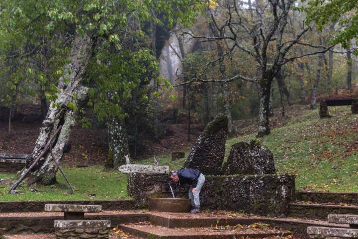 Bosque de Honfría