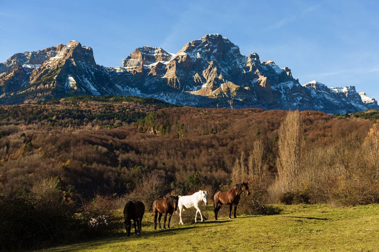 Al encuentro de duendes y brujas por el bosque prohibido