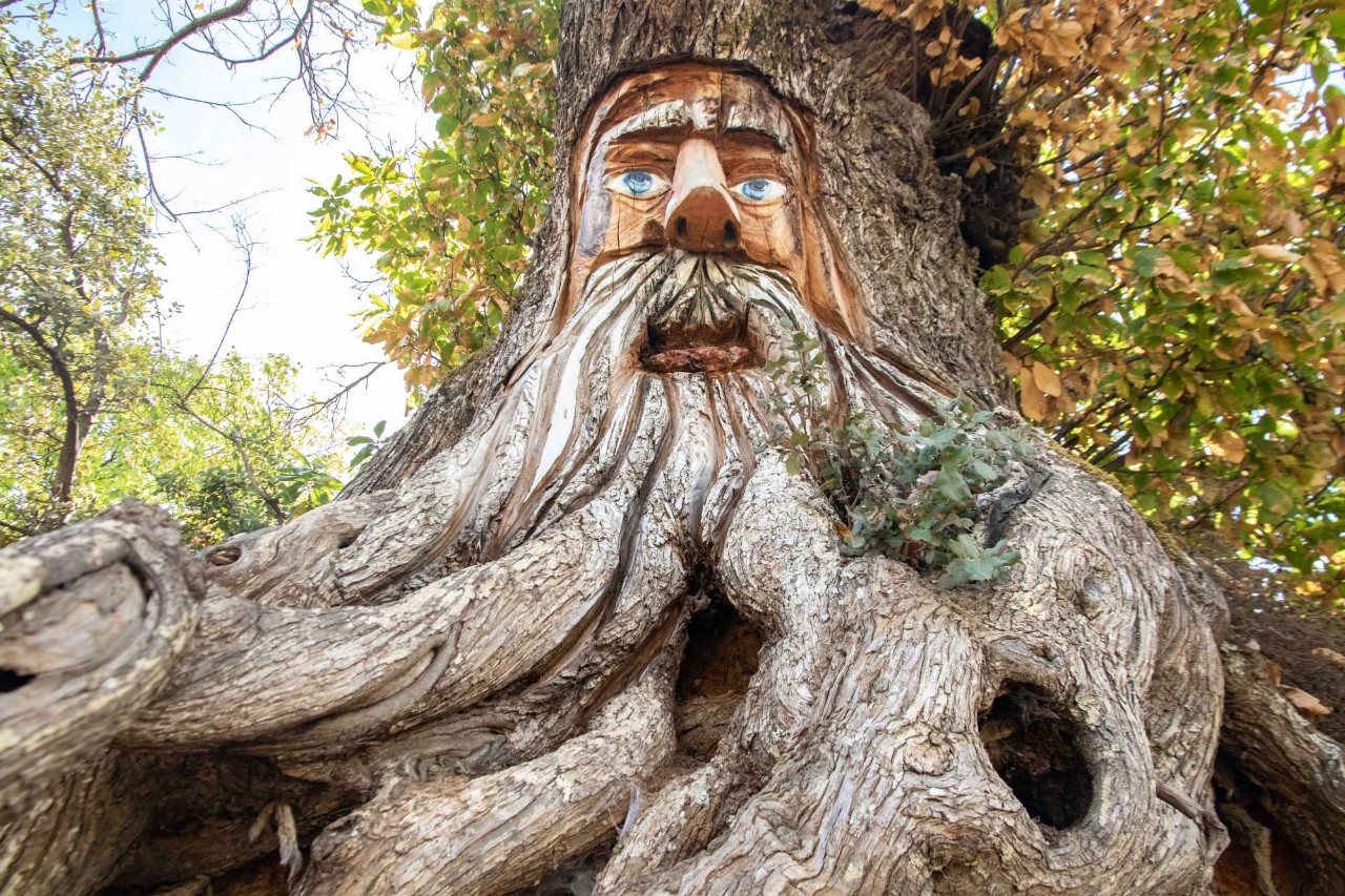 Hadas, duendes y magos en el Bosque Encantado de Parauta