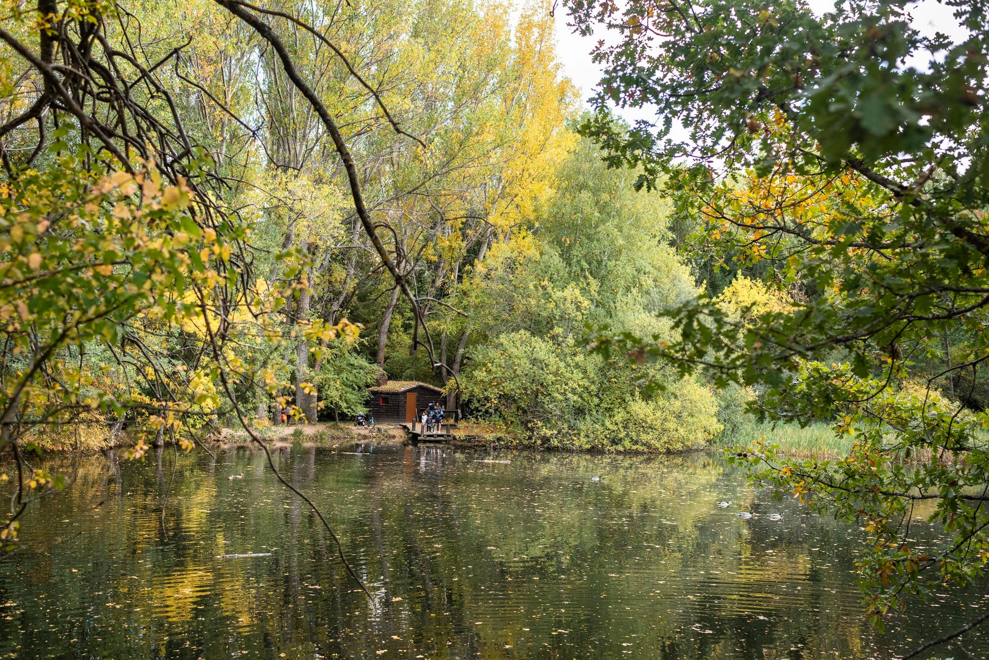 Bosque Finlandés Rascafría sauna de lejos