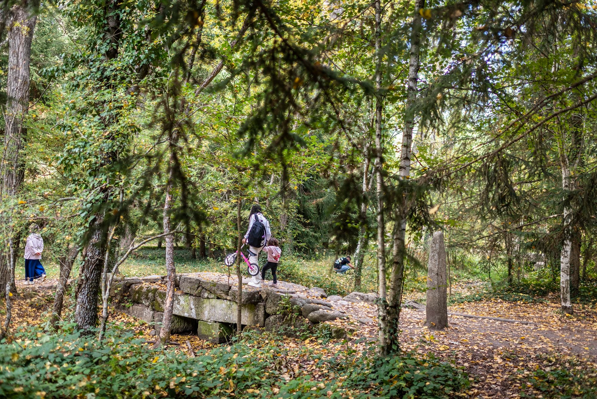 Bosque Finlandés Rascafría familia sobre puente