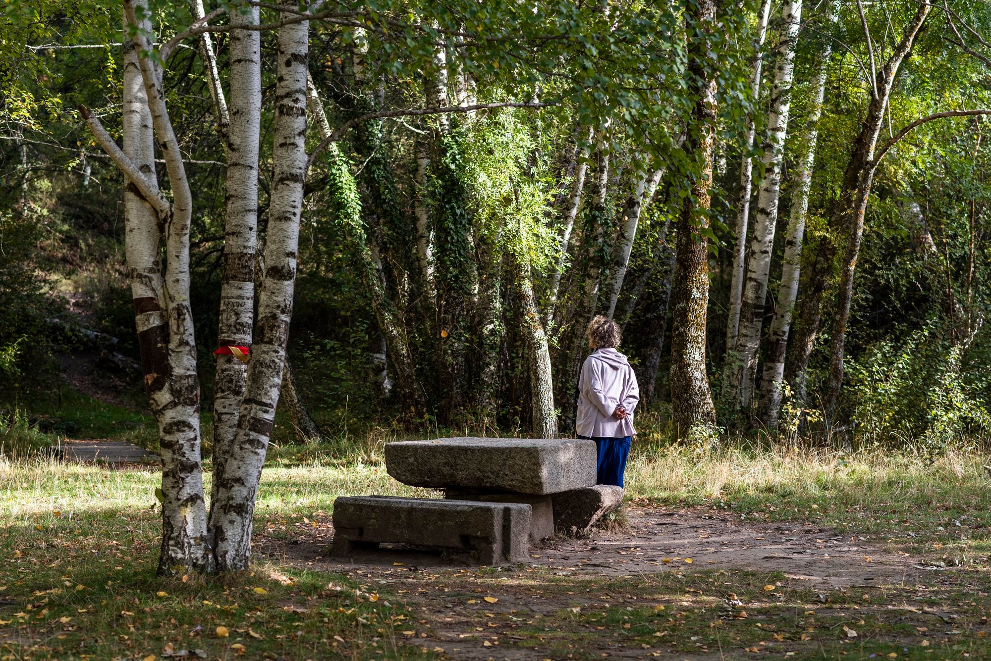 Bosque Finlandés Rascafría bancos de granito