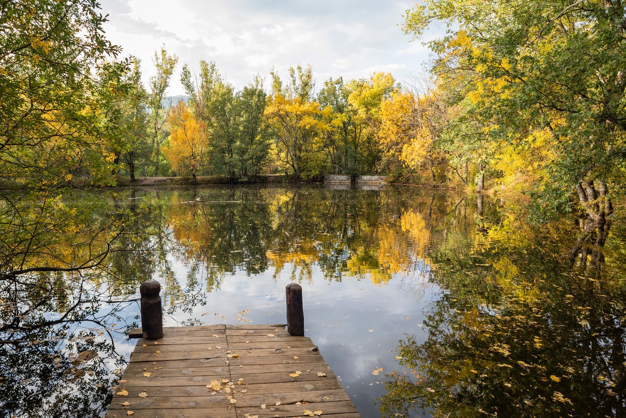 Bosque Finlandés Rascafría embarcadero con lago