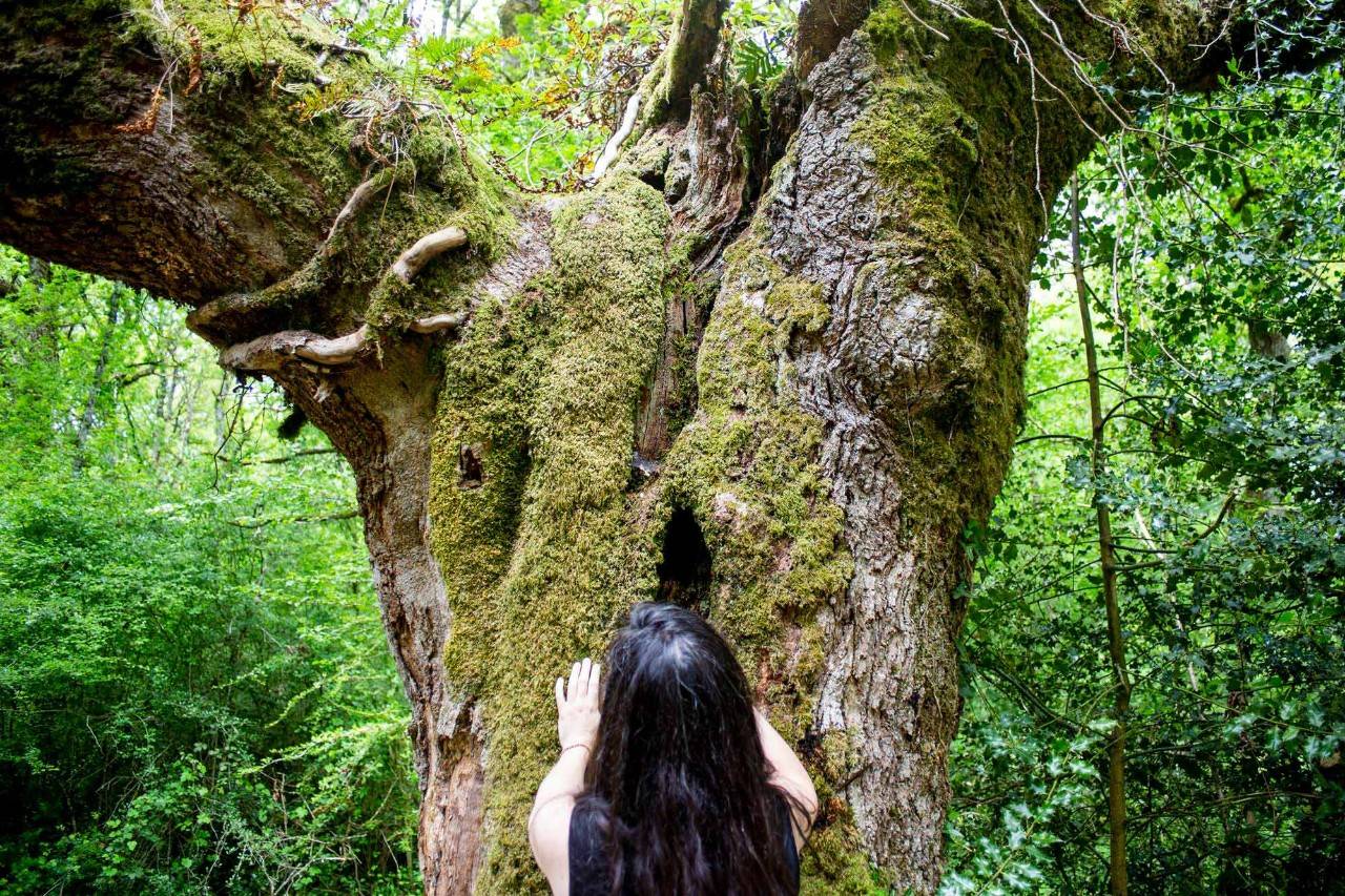 Un cóctel de naturaleza y gastronomía a tiro de Pamplona