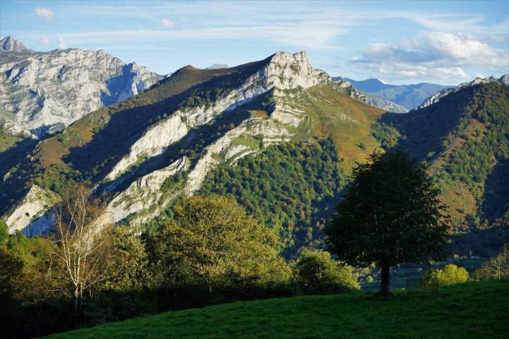 El Parque Natural de Ponga se convierte en pionero en España con esta iniciativa.