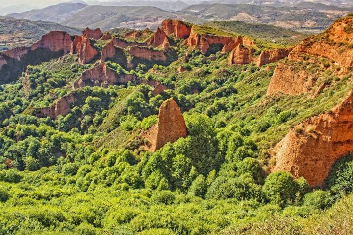 Bosques de castaños entre minas. Foto: Shutterstock