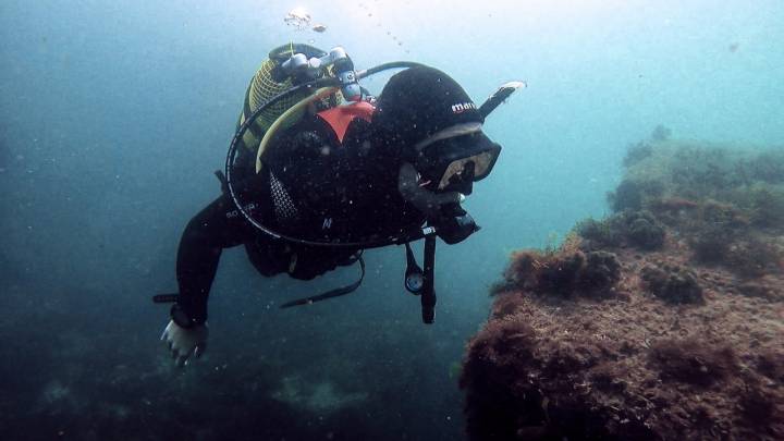 Buceo en Asturias buceador en arrecife