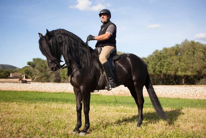 Vudú, un semental negro azabache, en la pista de césped, con Luis.