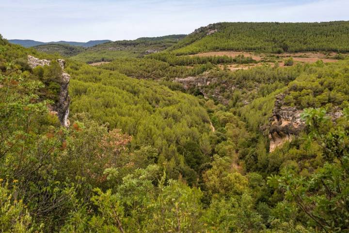 Camí del Riu: desfiladero de Mediona