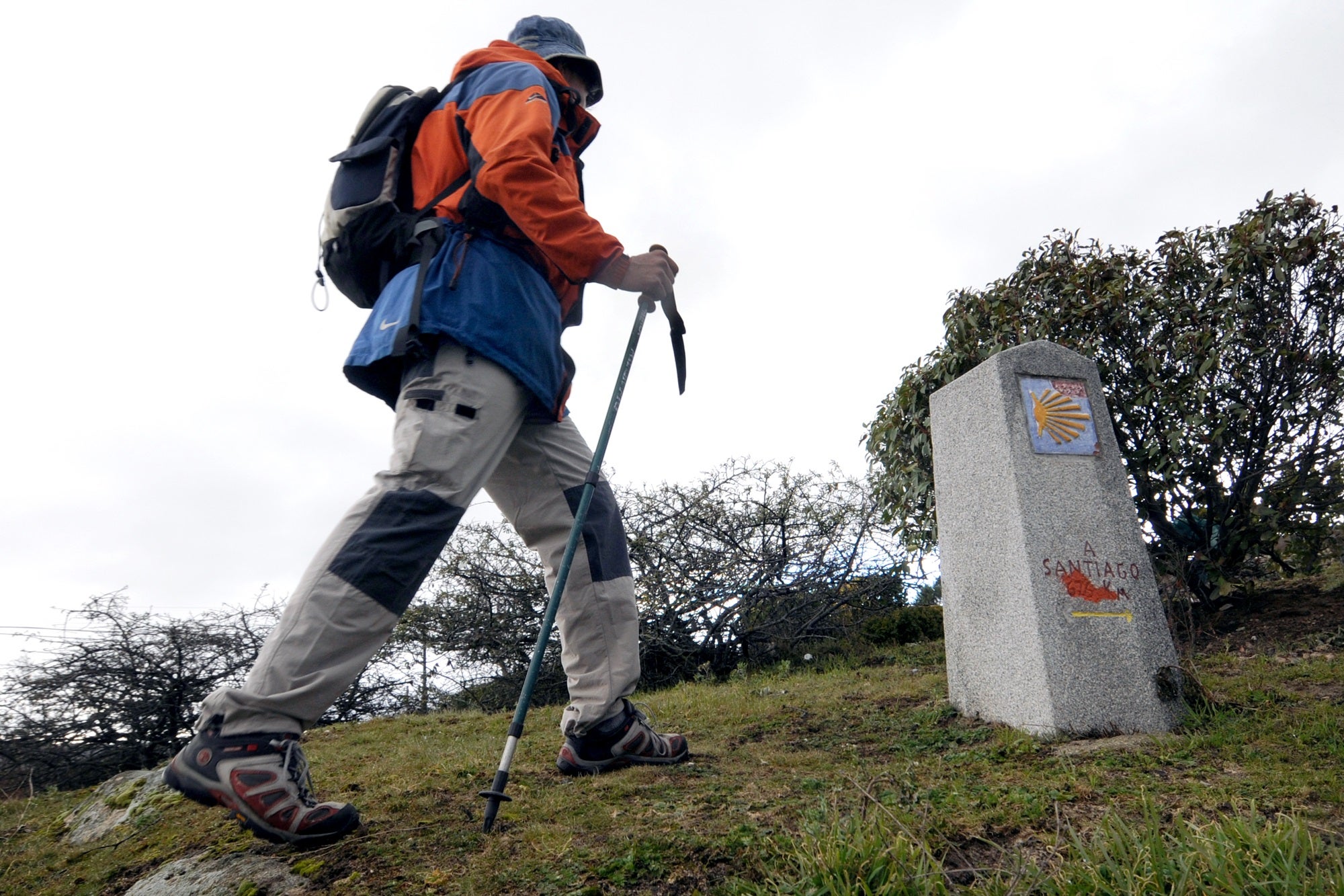  Entre fincas ganaderas hasta el pie de sierra del Guadarrama