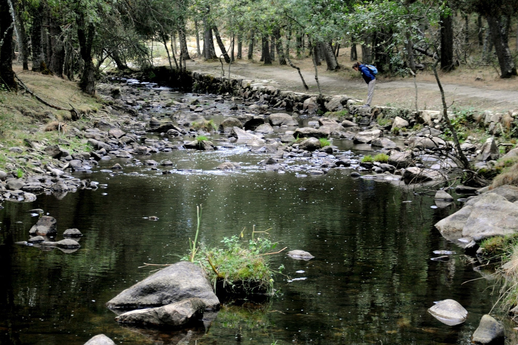 Camino de Santiago Madrileño Etapa 4 río Eresma