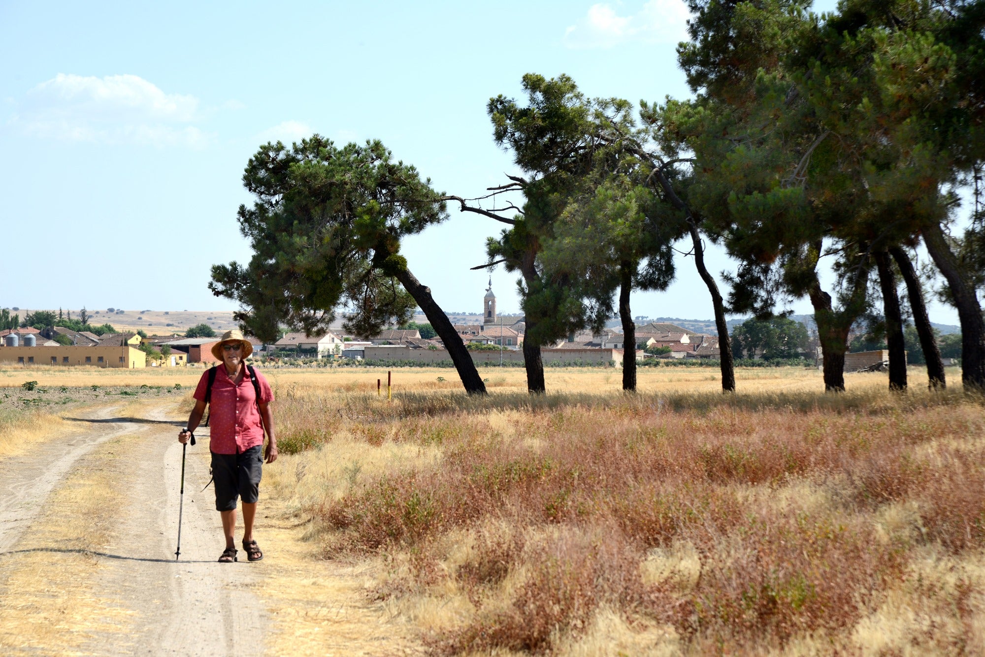 Camino de Santiago Añe