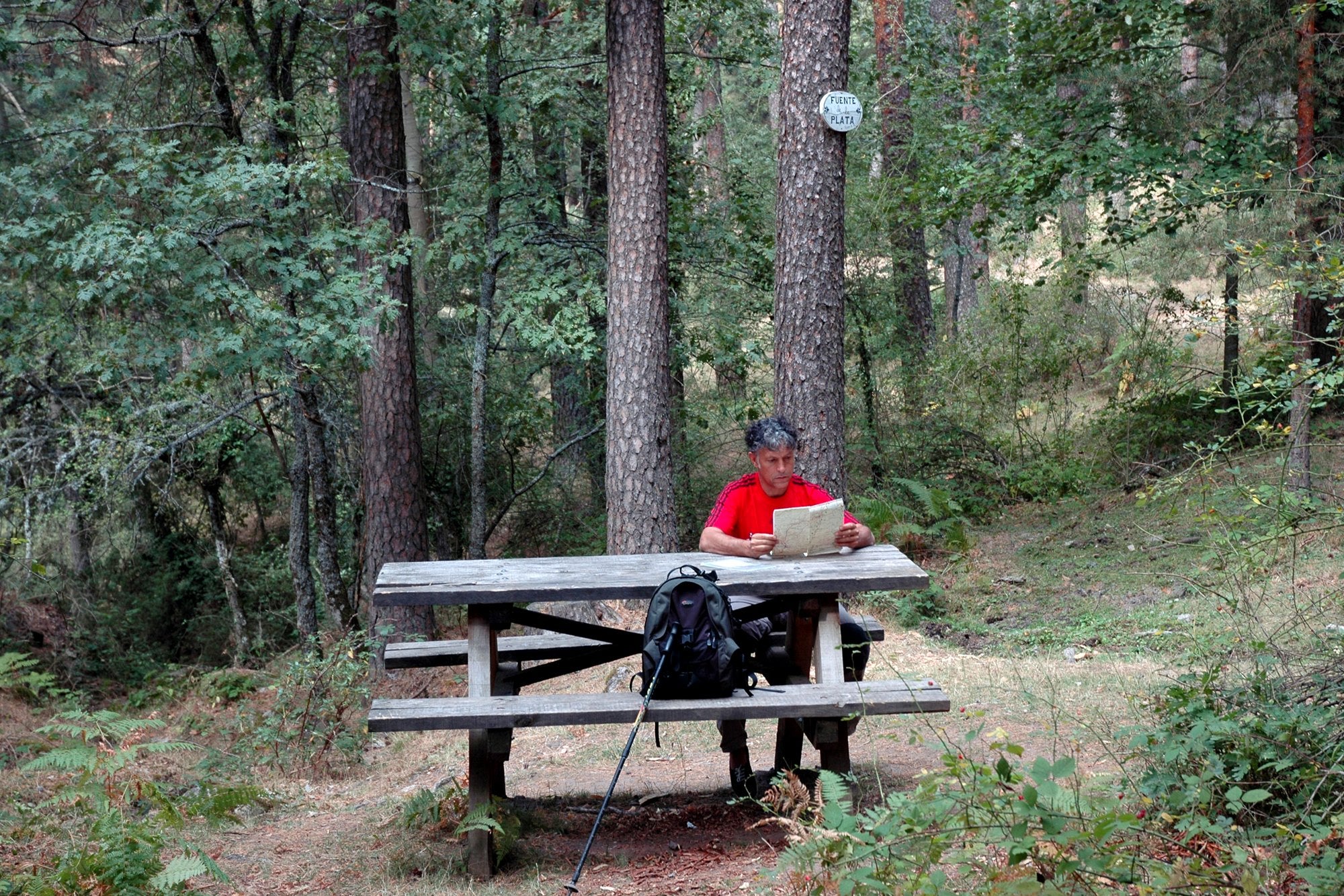 Camino de Santiago de Madrid Etapa 4 descanso en pinar