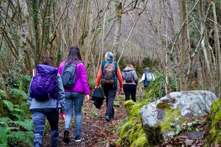 Camino Medieval Bandujo