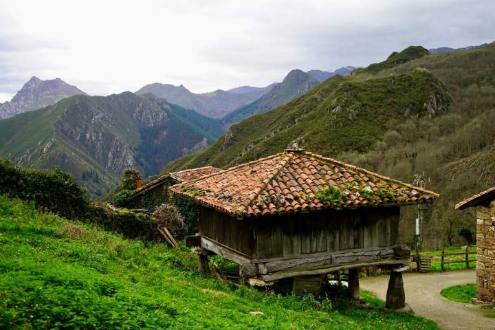 Camino Medieval Bandujo