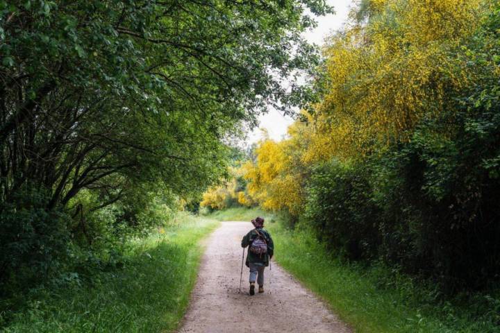 Camino Portugués por la Costa (Tramo 3): peregrina en el tramo de Alba