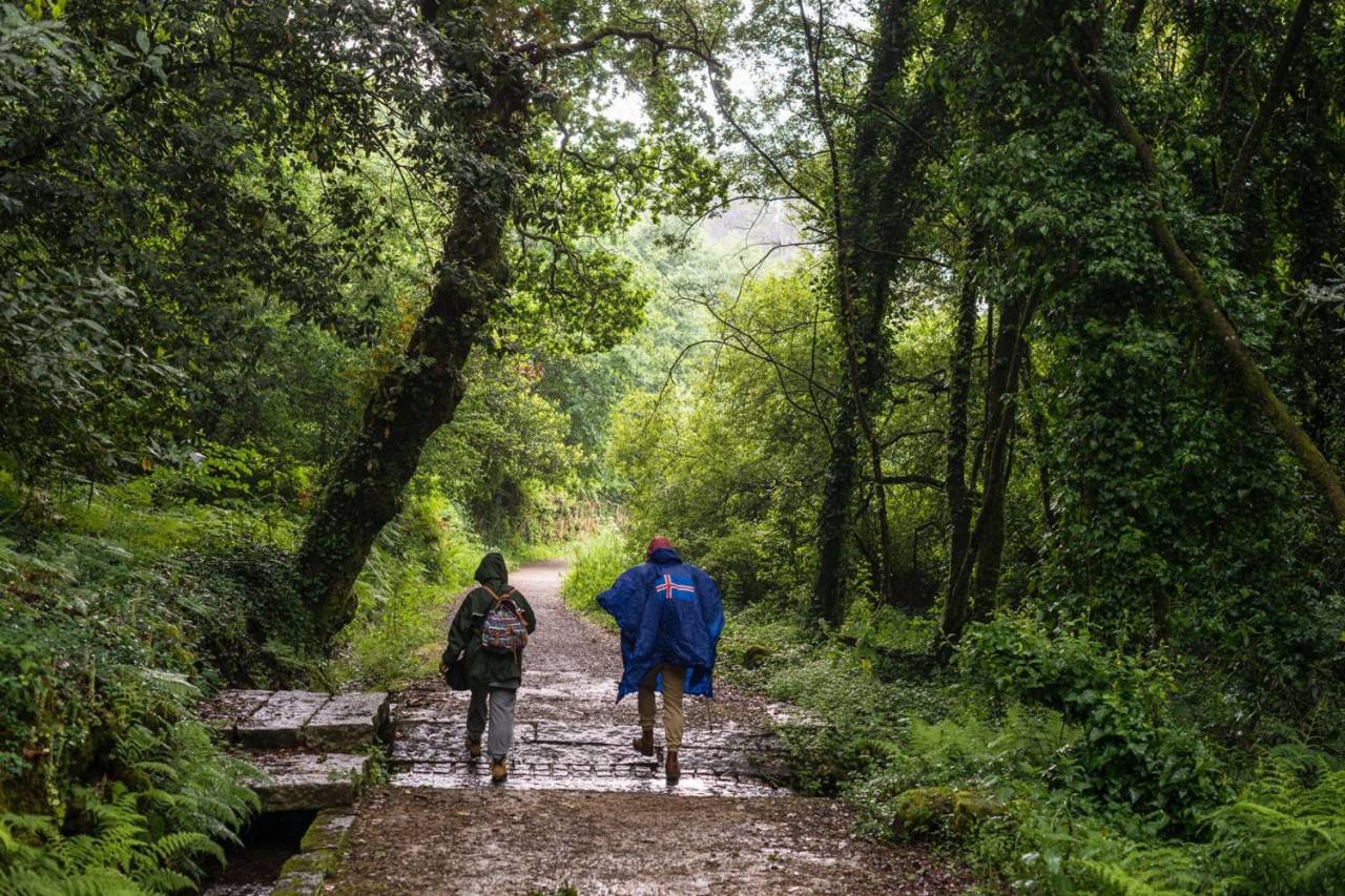 Por donde los bosques te arropan todo el camino