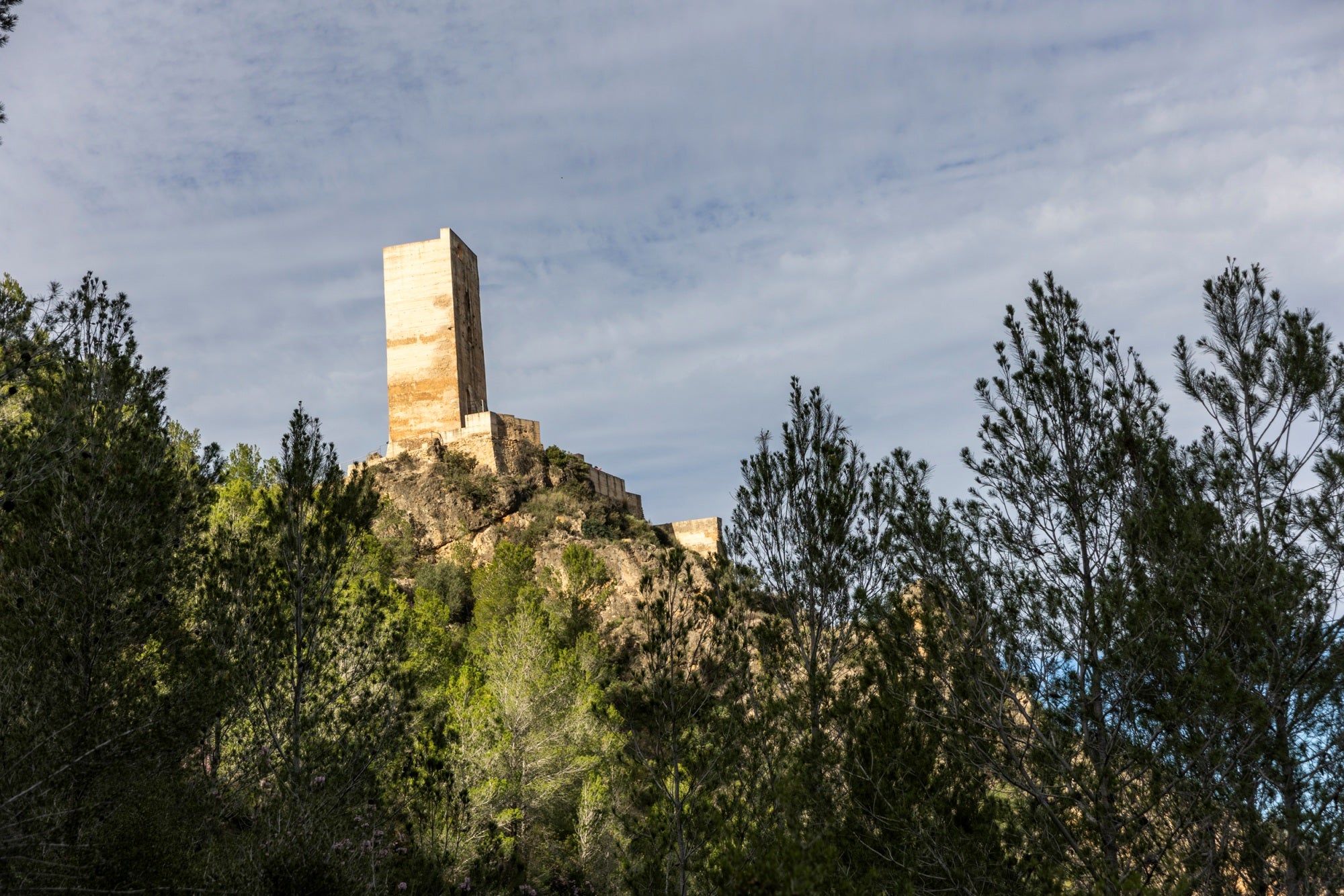 El castillo es una torre del S. XV con un pequeño recinto fortificado.