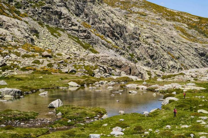 La Laguna Majalaescoba, rodeada de piornos, es la primera en aparecer en la ruta, aunque no pertenece a las cinco protagonistas de la ruta.