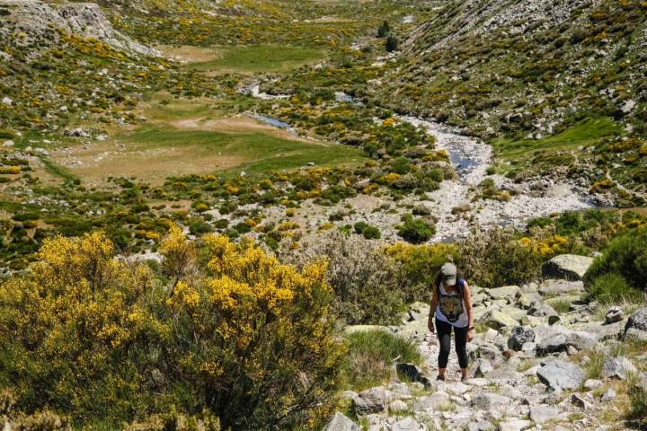 La primera subida seria es la que se inicia desde el refugio, mientras abajo corre la garganta.